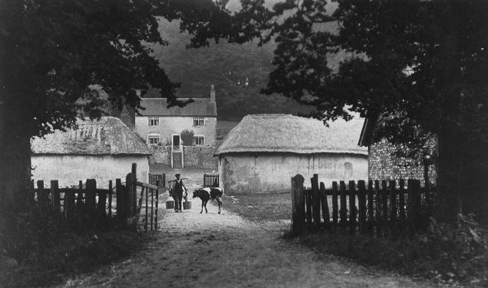 Poore’s Farm looking due west from West Street c1900